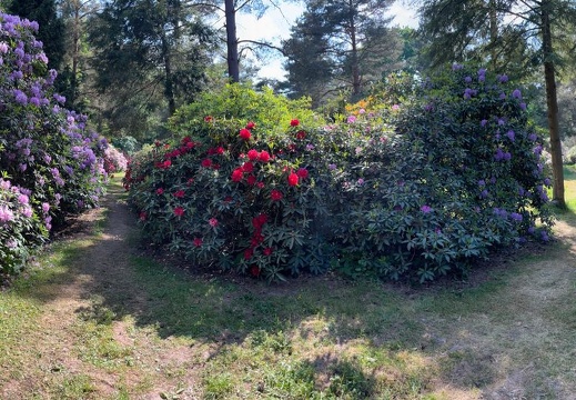 23-06-03 16-48-51 5800